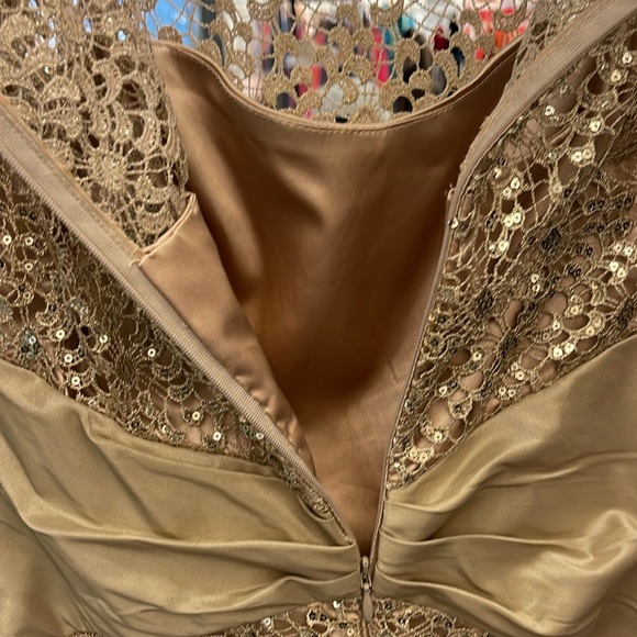 Rickie Freeman TERI JON Gown - Picture 11 of 17